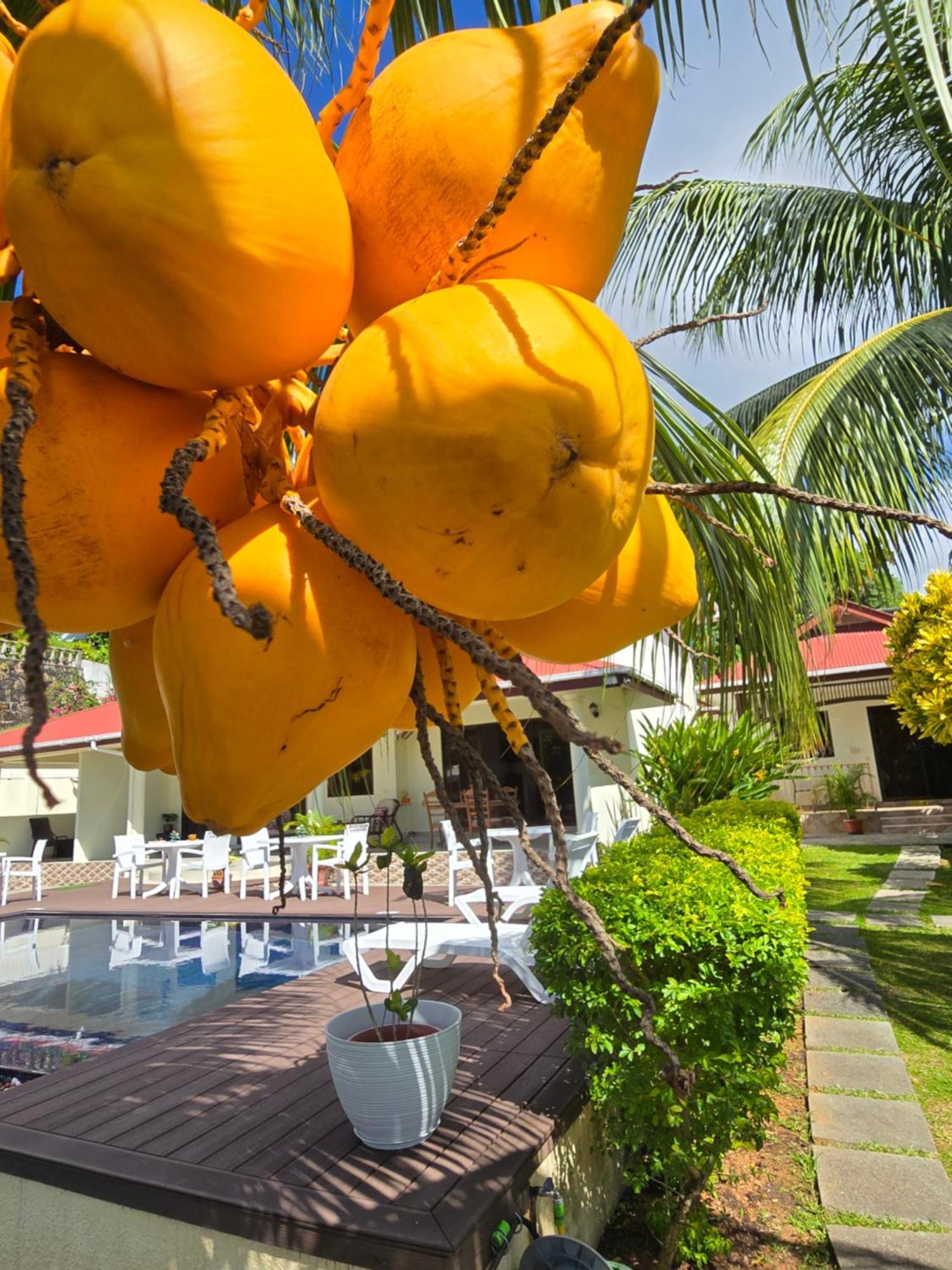 Emma'S Guest House And Self-Catering Au Cap Exteriér fotografie