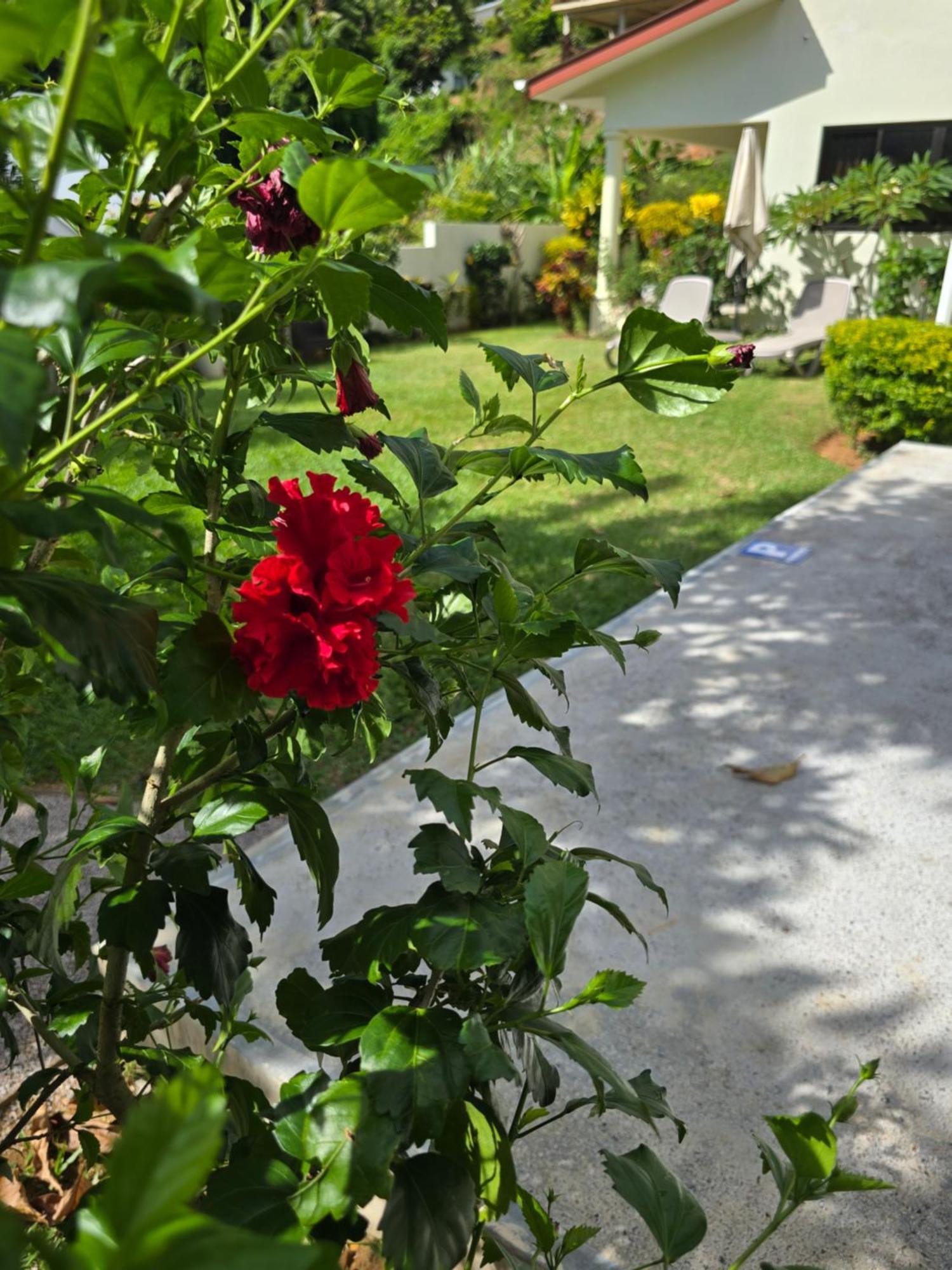 Emma'S Guest House And Self-Catering Au Cap Exteriér fotografie