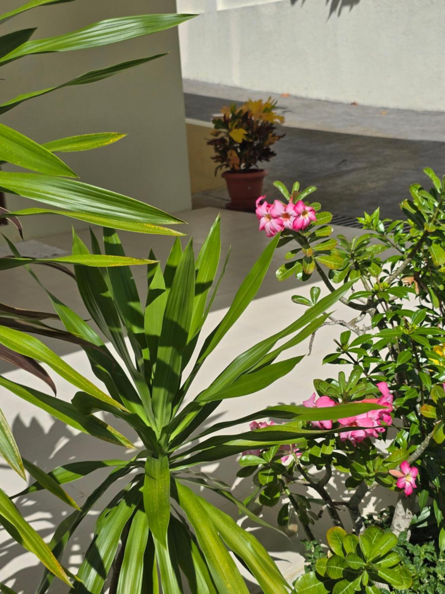 Emma'S Guest House And Self-Catering Au Cap Exteriér fotografie