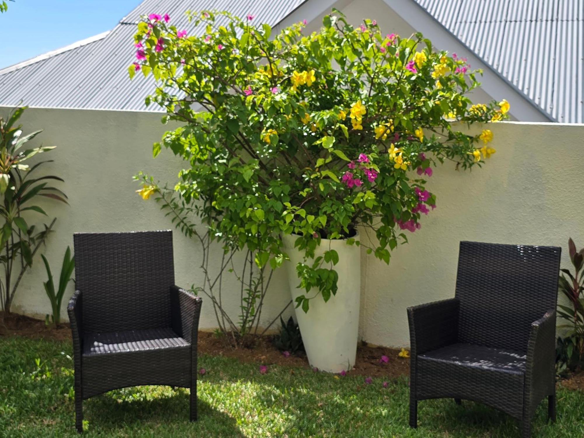 Emma'S Guest House And Self-Catering Au Cap Exteriér fotografie